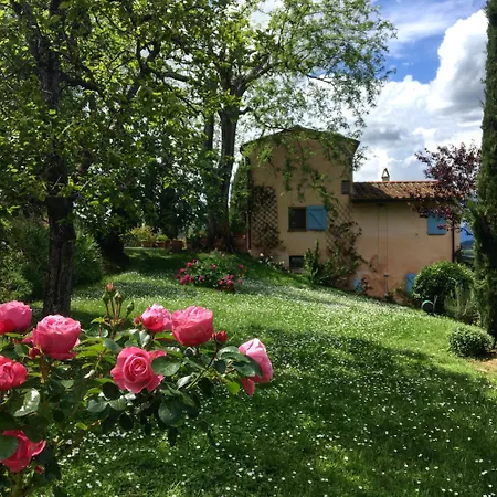 Con Terrazza Privata E Giardino Vicino A Pisa E Firenze * Palaia