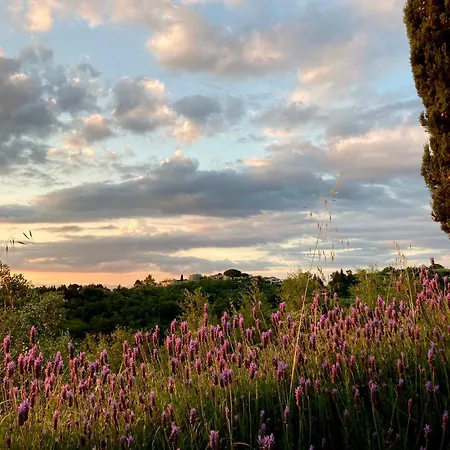 Con Terrazza Privata E Giardino Vicino A Pisa E Firenze * Palaia