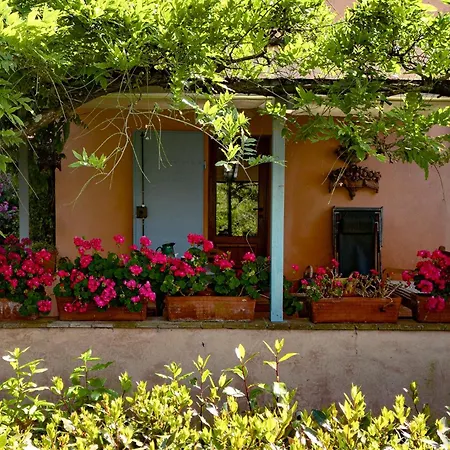 Con Terrazza Privata E Giardino Vicino A Pisa E Firenze Lägenhet Palaia