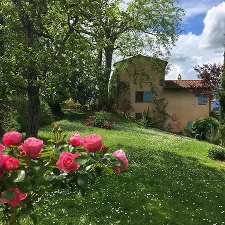 Con Terrazza Privata E Giardino Vicino A Pisa E Firenze *