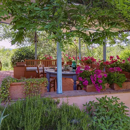 Con Terrazza Privata E Giardino Vicino A Pisa E Firenze Lägenhet *