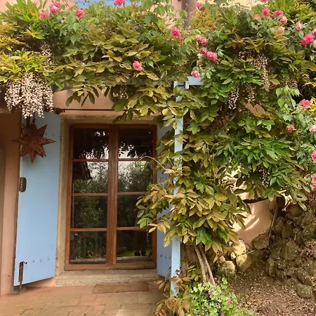 Con Terrazza Privata E Giardino Vicino A Pisa E Firenze Lägenhet Palaia