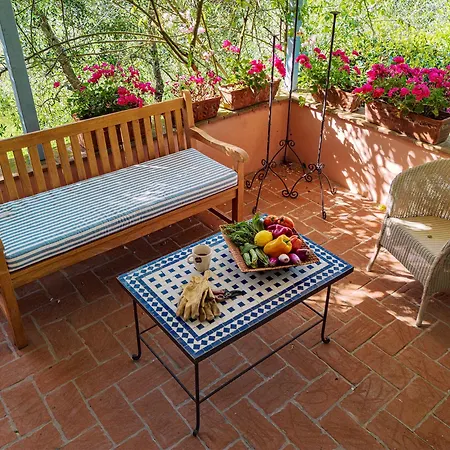 Con Terrazza Privata E Giardino Vicino A Pisa E Firenze * Palaia