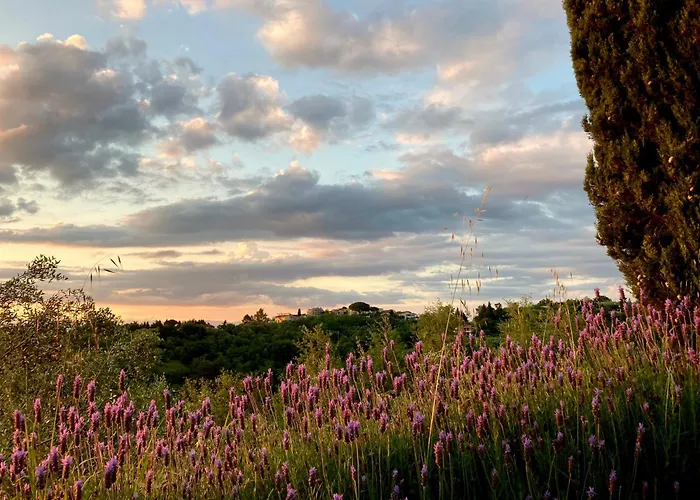 Con Terrazza Privata E Giardino Vicino A Pisa E Firenze * 帕拉亚