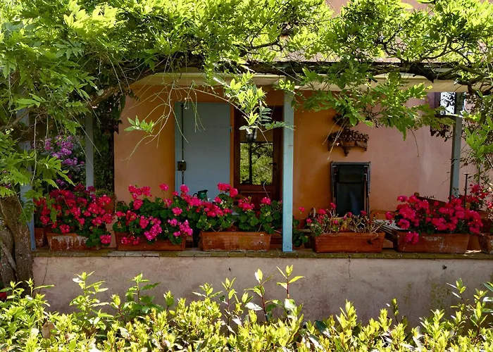 Con Terrazza Privata E Giardino Vicino A Pisa E Firenze 公寓 帕拉亚