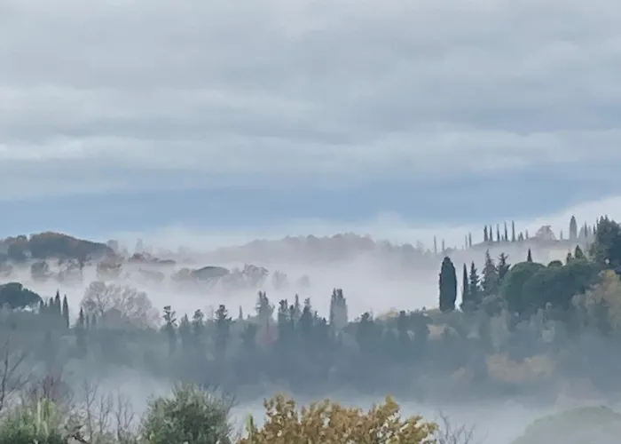公寓 Con Terrazza Privata E Giardino Vicino A Pisa E Firenze